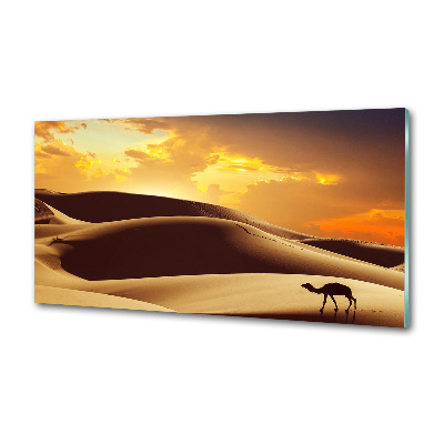 Panel do kuchyne Ťava Sahara