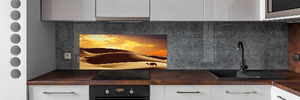 Panel do kuchyne Ťava Sahara