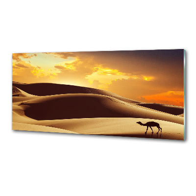 Panel do kuchyne Ťava Sahara