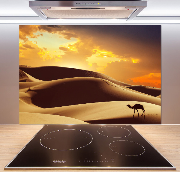 Panel do kuchyne Ťava Sahara