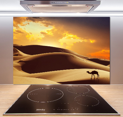 Panel do kuchyne Ťava Sahara