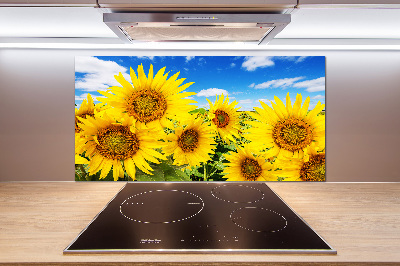 Dekoračný panel sklo Slnečníky
