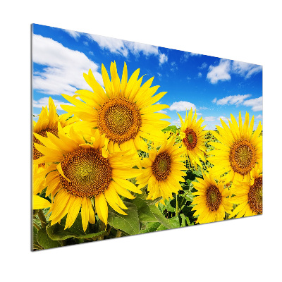 Dekoračný panel sklo Slnečníky
