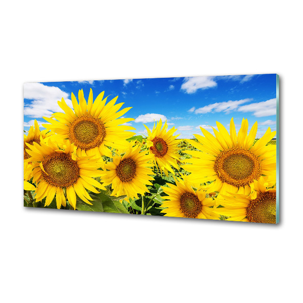 Dekoračný panel sklo Slnečníky