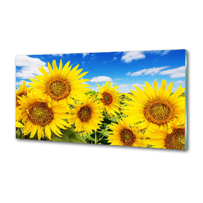 Dekoračný panel sklo Slnečníky