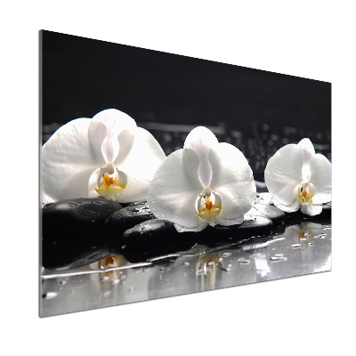 Sklenený panel do kuchynskej linky Orchidea