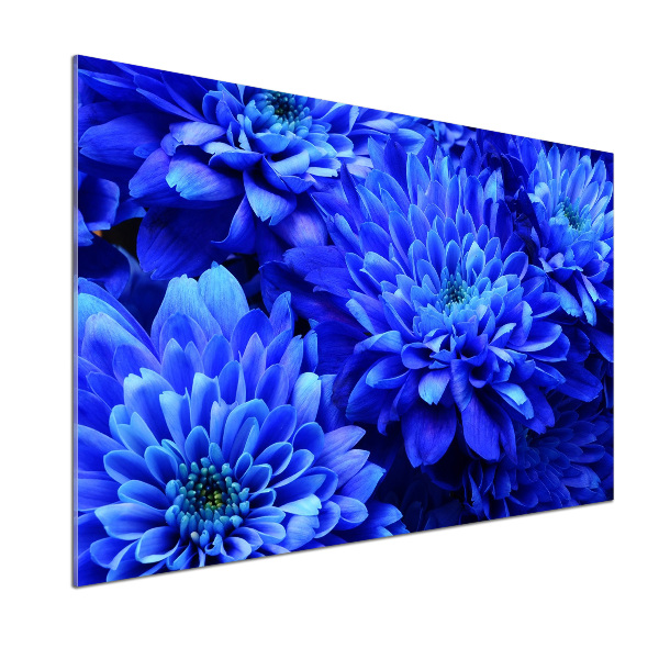 Panel do kuchyne Modrá astra