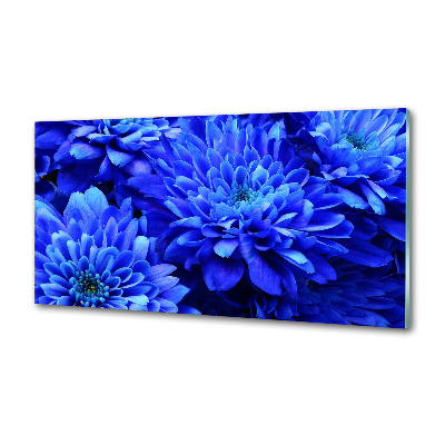 Panel do kuchyne Modrá astra