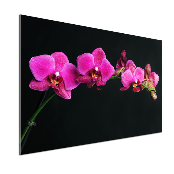 Sklenený panel do kuchynskej linky Orchidea