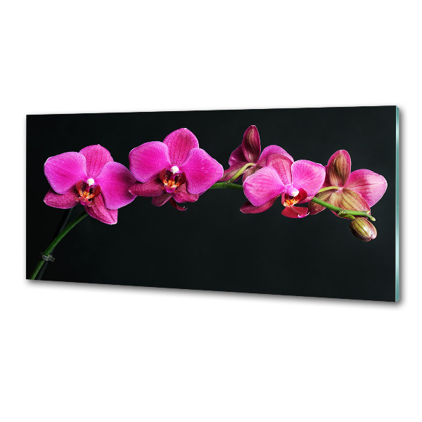 Sklenený panel do kuchynskej linky Orchidea