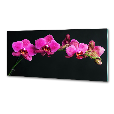 Sklenený panel do kuchynskej linky Orchidea