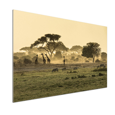 Panel do kuchyne Žirafy na savane