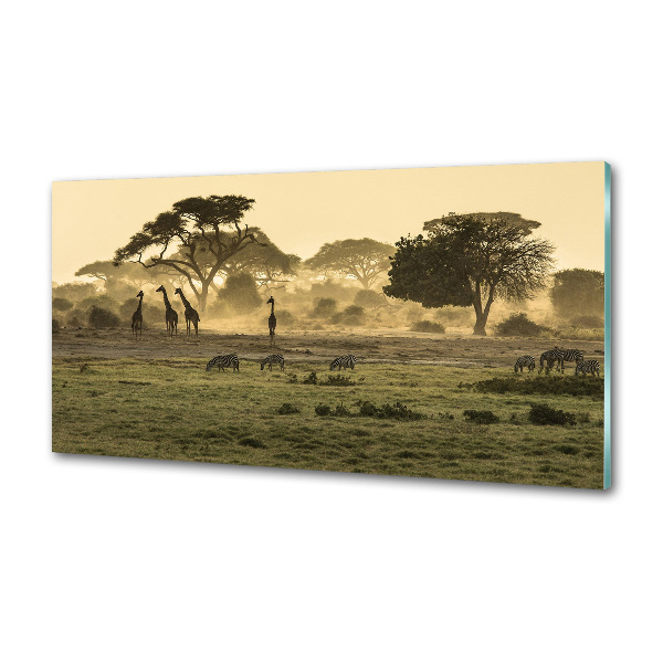 Panel do kuchyne Žirafy na savane