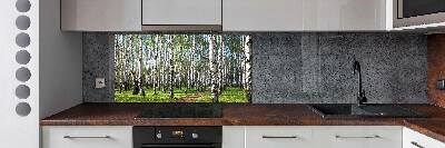 Dekoračný panel sklo Brezovy les