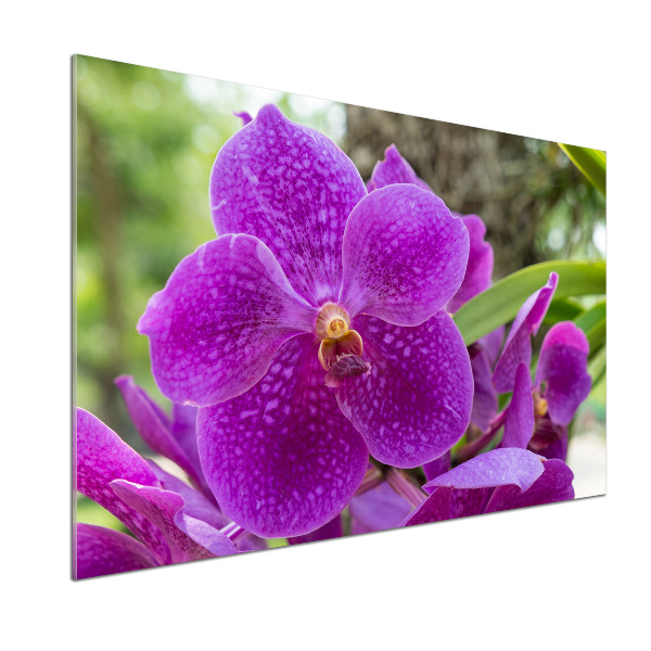 Sklenený panel do kuchynskej linky Orchidea