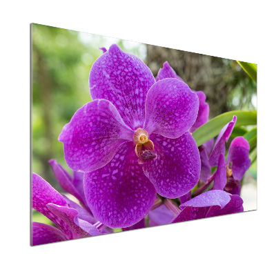 Sklenený panel do kuchynskej linky Orchidea