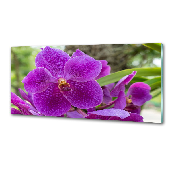 Sklenený panel do kuchynskej linky Orchidea