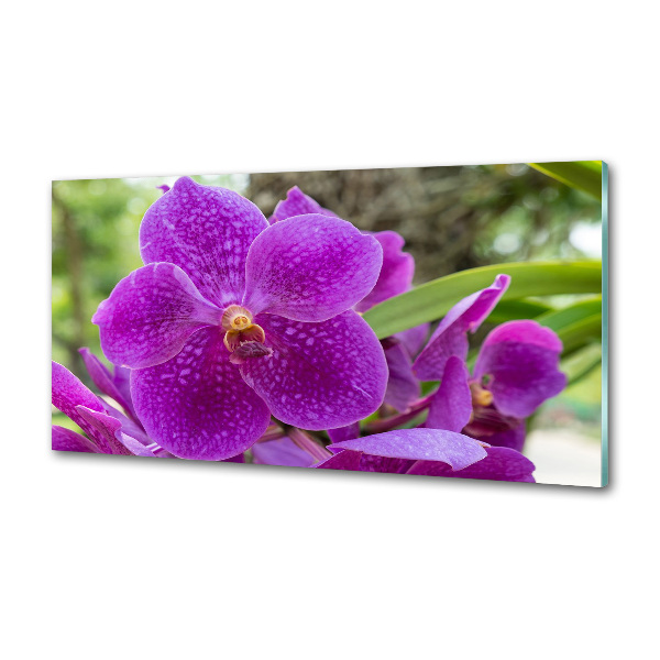 Sklenený panel do kuchynskej linky Orchidea