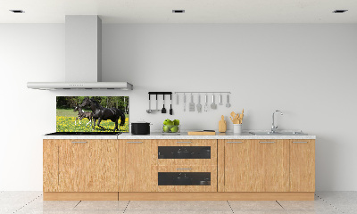 Panel lacobel Kobyla a žriebä