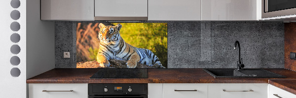 Panel do kuchyne Portrét tigra