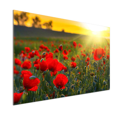 Dekoračný panel sklo Pole makov