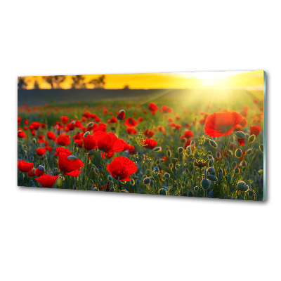 Dekoračný panel sklo Pole makov