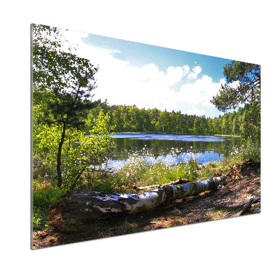 Panel do kuchyne Lesné panorama