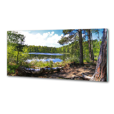 Panel do kuchyne Lesné panorama