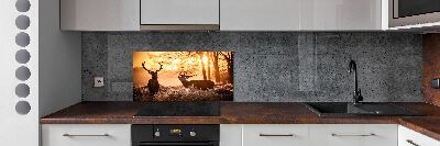 Panel do kuchyne Jeleň východ