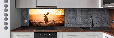 Panel lacobel Jeleň východ slnka