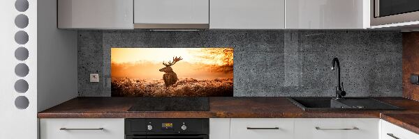 Panel lacobel Jeleň východ slnka