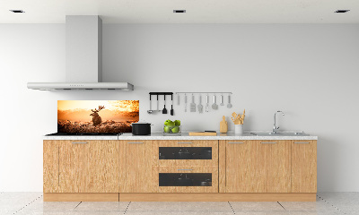Panel lacobel Jeleň východ slnka
