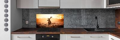Panel lacobel Jeleň východ slnka