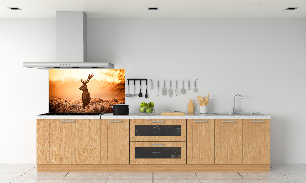 Panel lacobel Jeleň východ slnka