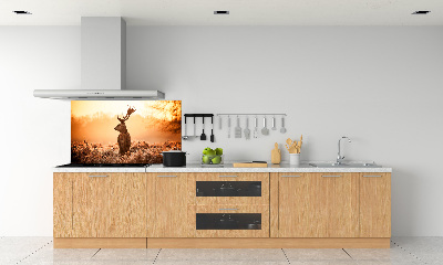 Panel lacobel Jeleň východ slnka