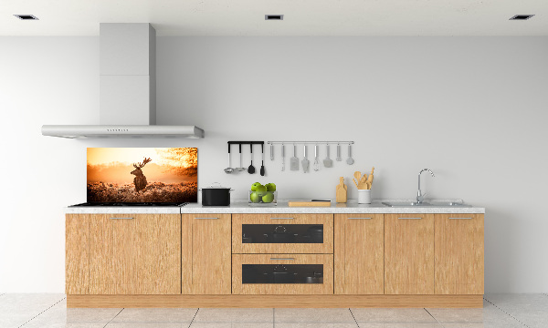 Panel lacobel Jeleň východ slnka