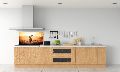 Panel lacobel Jeleň východ slnka