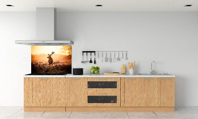 Panel lacobel Jeleň východ slnka