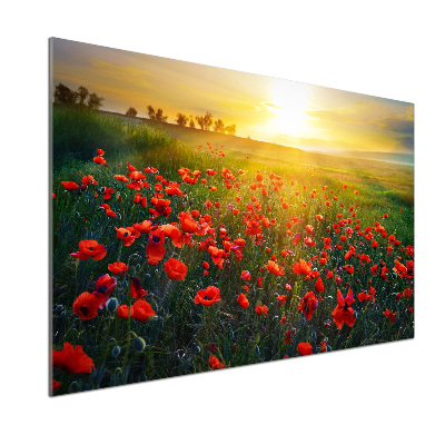Dekoračný panel sklo Pole makov