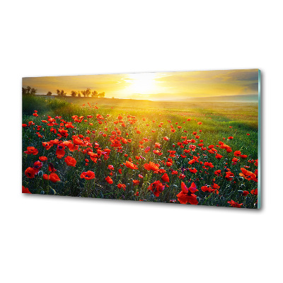 Dekoračný panel sklo Pole makov