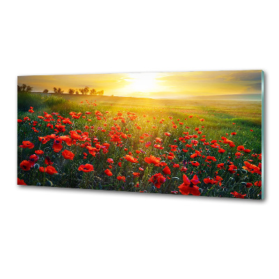 Dekoračný panel sklo Pole makov