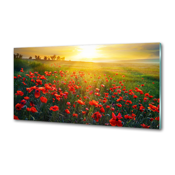 Dekoračný panel sklo Pole makov