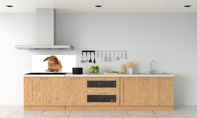 Dekoračný panel sklo Červený králik