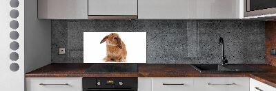 Dekoračný panel sklo Červený králik