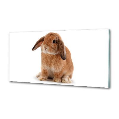 Dekoračný panel sklo Červený králik