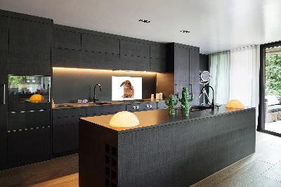 Dekoračný panel sklo Červený králik