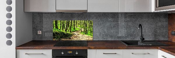 Panel do kuchyne Chodník v lese