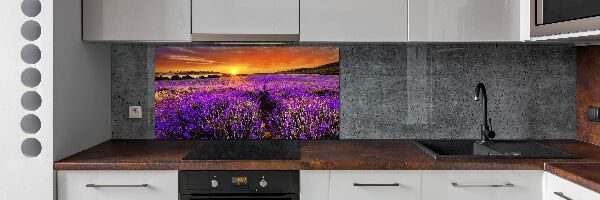 Dekoračný panel sklo Pole levanduľa