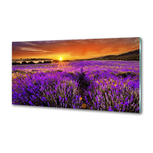 Dekoračný panel sklo Pole levanduľa