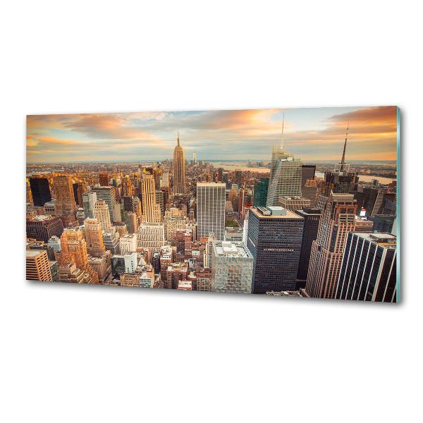 Panel lacobel New York vtáčie pohľad